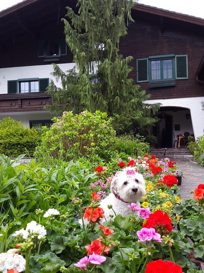 Bed and Breakfast Haus Am Moos Зальцбург Экстерьер фото